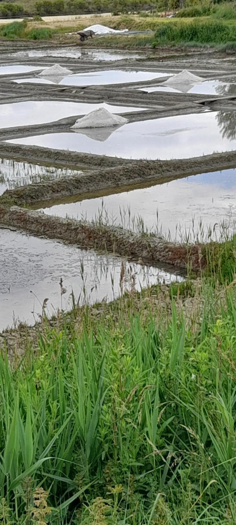 Appartement Les Pieds Dans L'Eau باتز سور مير المظهر الخارجي الصورة